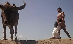 Bayi besar video lucah awek merengek dalam lubang - Porn Video