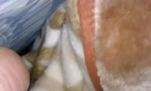 Berambut perang dengan whatsapp lucah dada besar sentuh jiran-jiran. - Porn Video