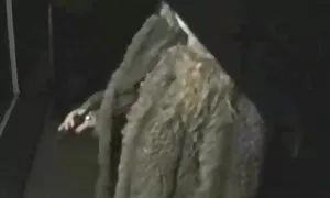 Bagus goreng hitam. video lucah 69 - Porn Video